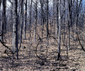 WCR_048.jpg
