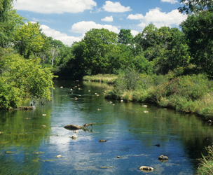 mukwonago_copy.jpg