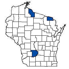 10325.jpg