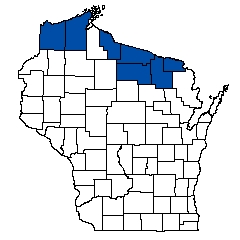 6549.jpg