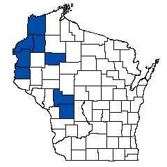 6711.jpg