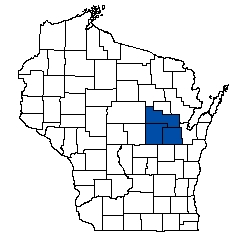 6915.jpg