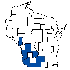 7057.jpg