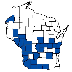 7170.jpg