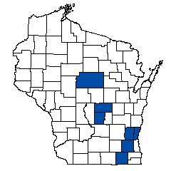 7654.jpg
