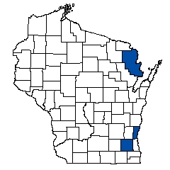 7705.jpg