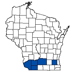 7743.jpg