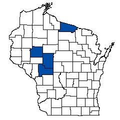 7855.jpg