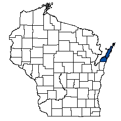 10320.jpg