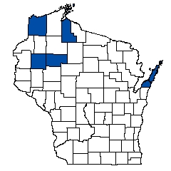 11566.jpg