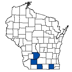 11587.jpg