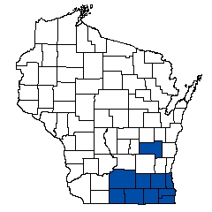 8681.jpg
