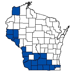 8687.jpg