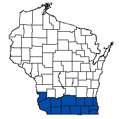 8717.jpg