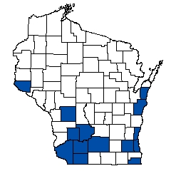 8725.jpg