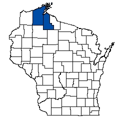 8755.jpg