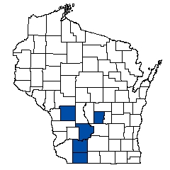 8777.jpg