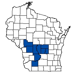 8811.jpg