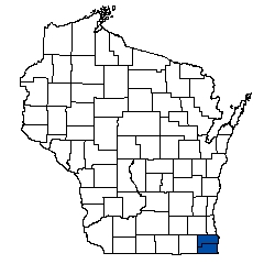 8825.jpg