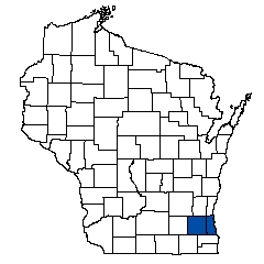 8905.jpg