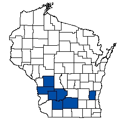 8915.jpg