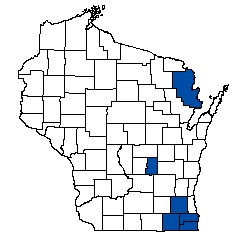 8947.jpg