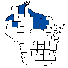 9026.jpg