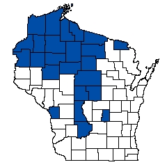 9031.jpg