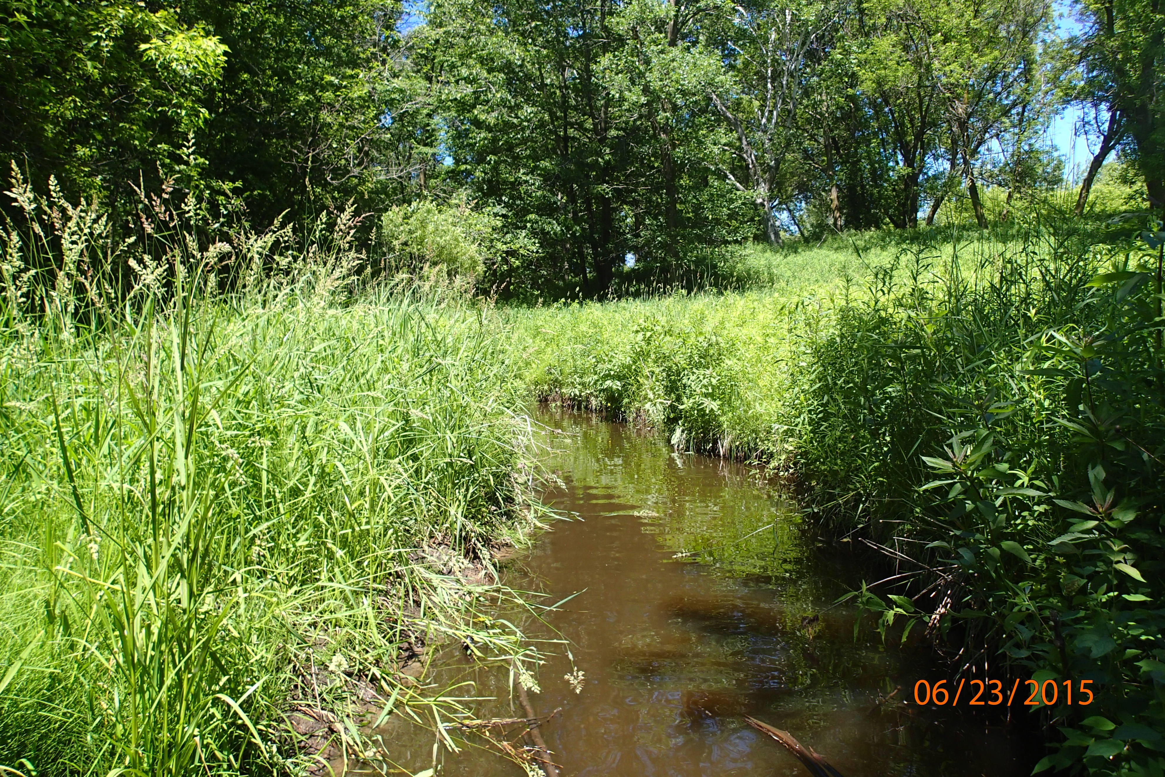 Lancaster Creek, Duck Creek Watershed (LF05)