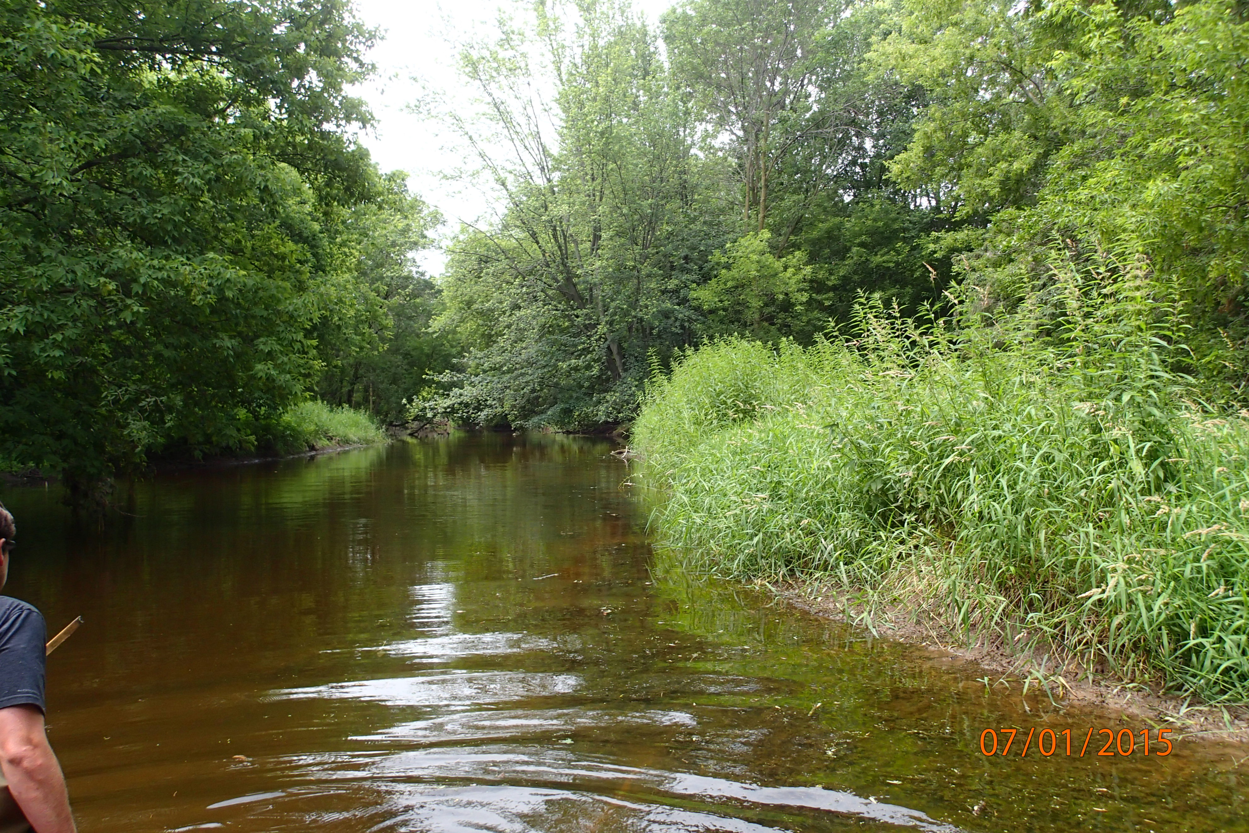 Duck Creek, Duck Creek Watershed (LF05)