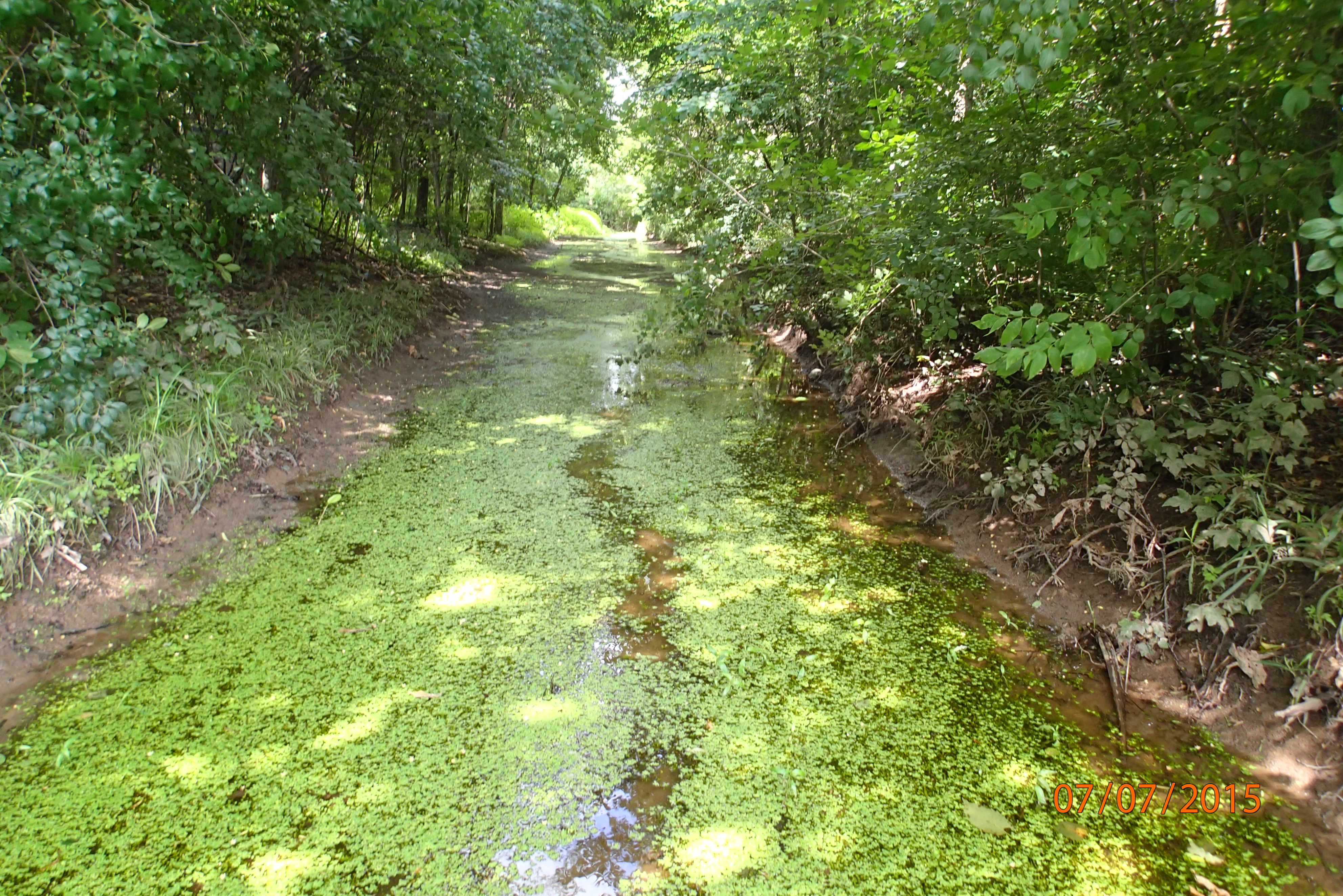 Local Water, Apple and Ashwaubenon Creeks Watershed (LF02)