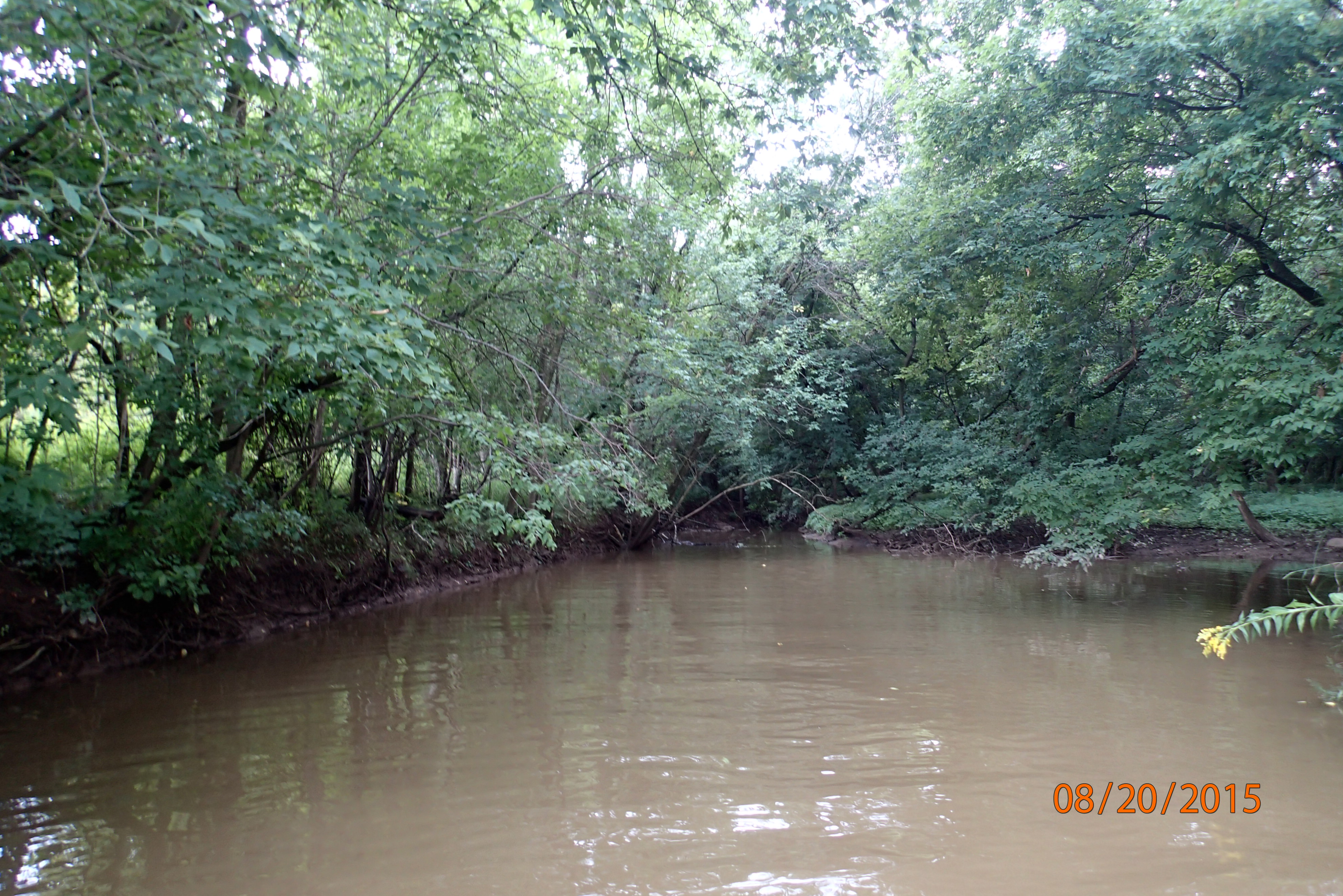 Ashwaubenon Creek, Apple and Ashwaubenon Creeks,East River Watershed (LF01)