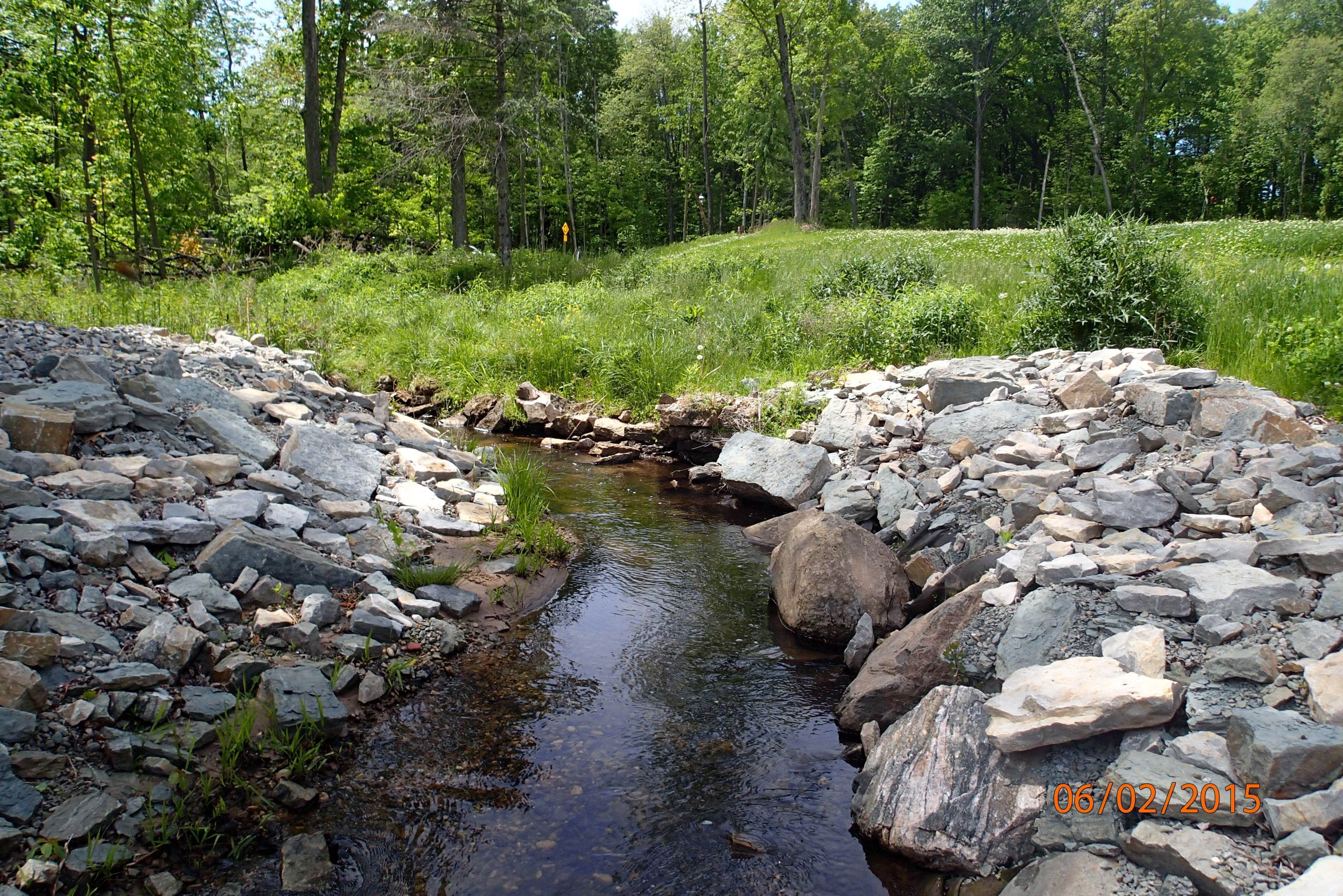 Thornberry Creek, Duck Creek Watershed (LF05)