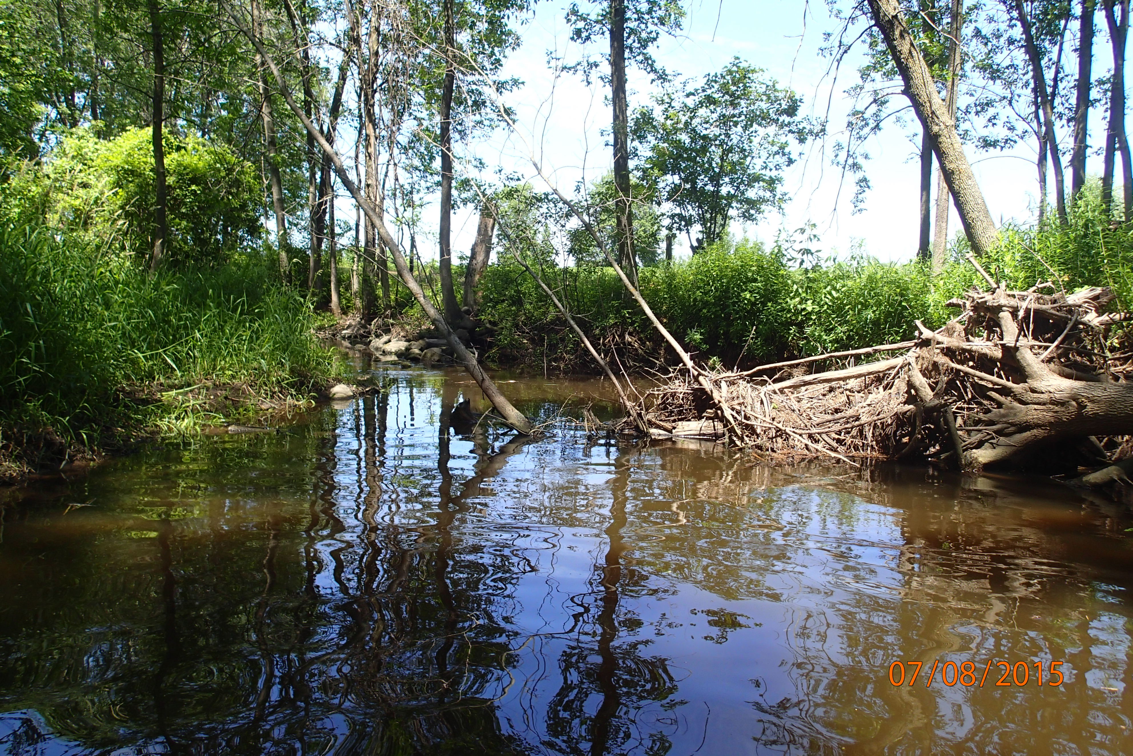 Trout Creek, Lower Peshtigo River Watershed (GB07)