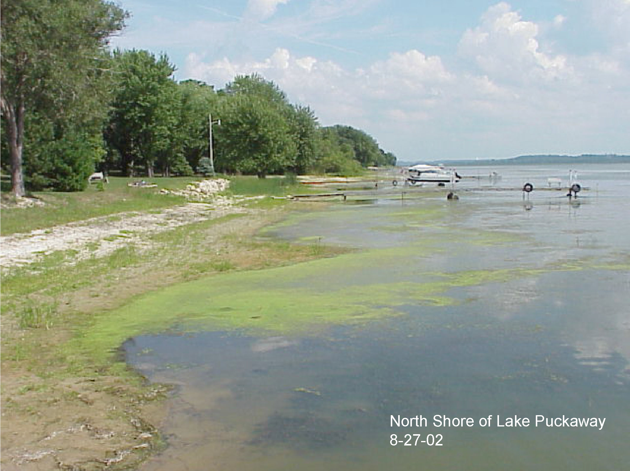 Puckaway Lake - North Beach , Buffalo and Puckaway Lakes Watershed (UF10)