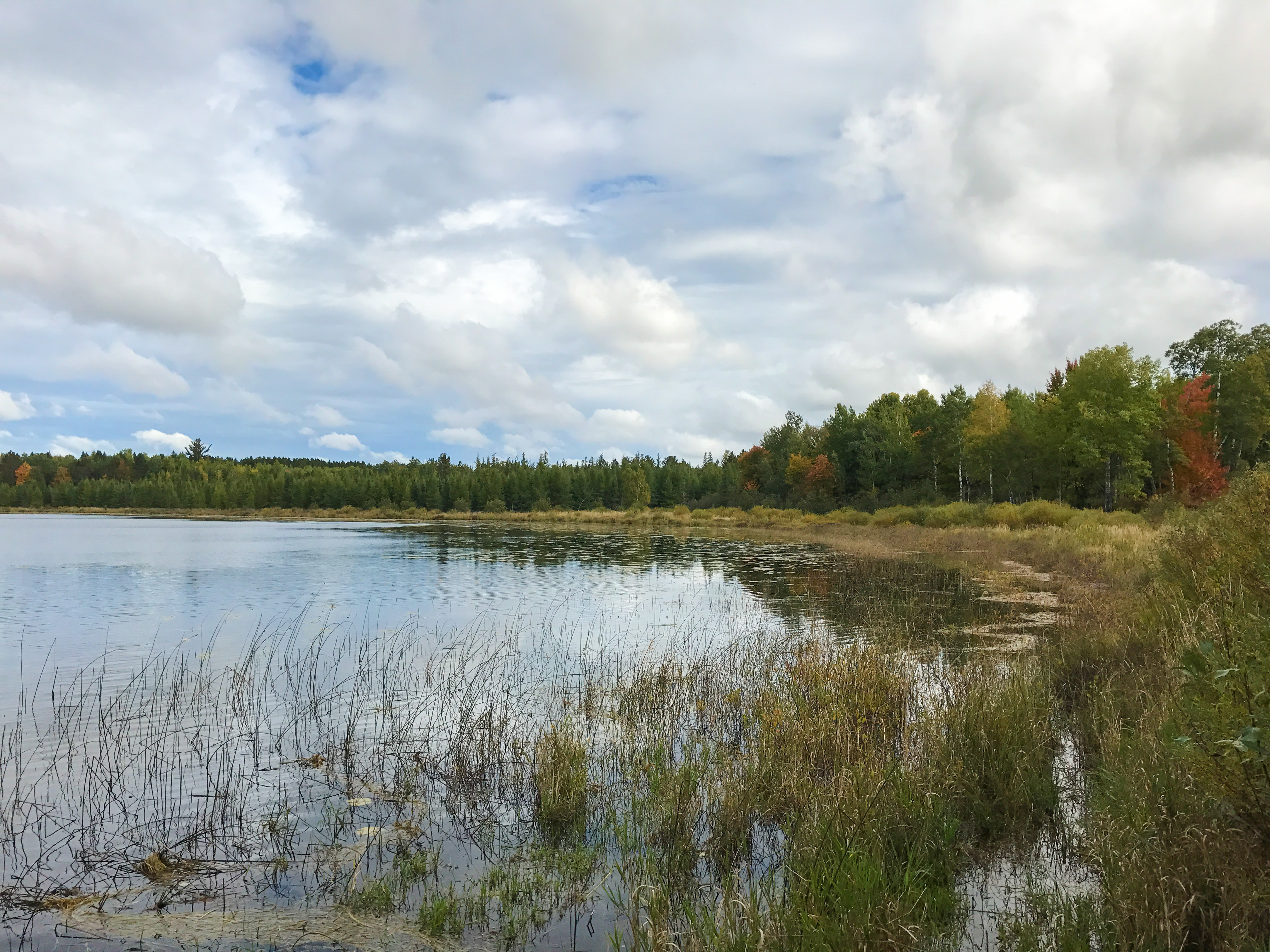 Seidel Lake, Pine River Watershed (GB16)