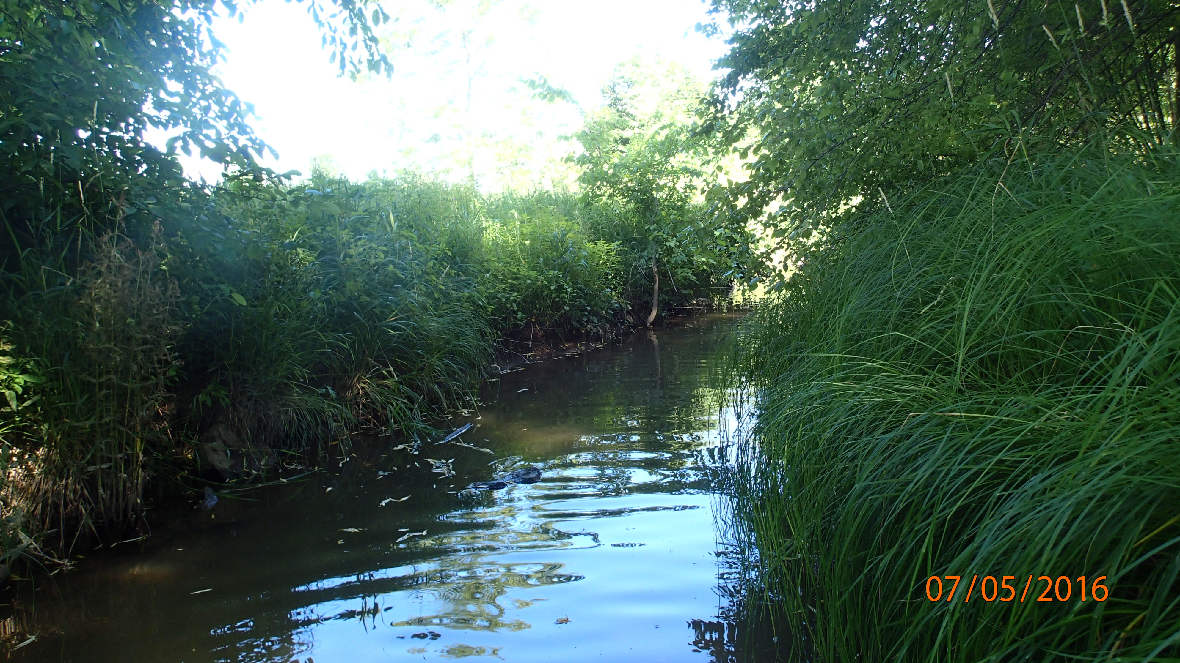 Local Water, East River Watershed (LF01)