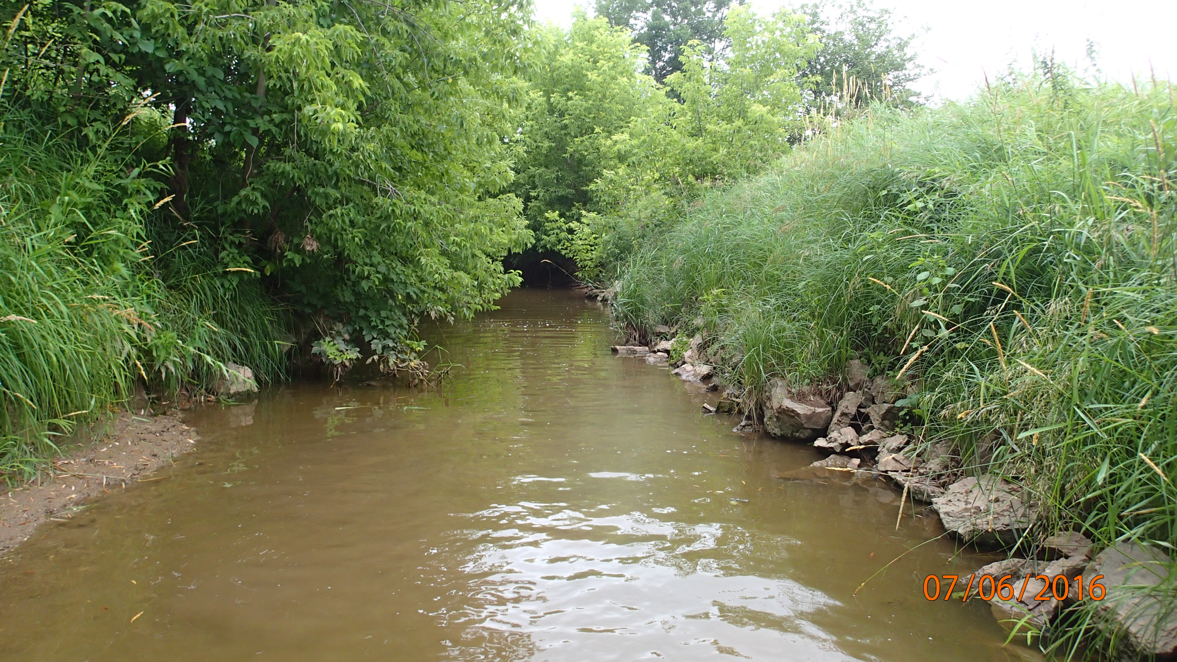 Bower Creek, East River Watershed (LF01)