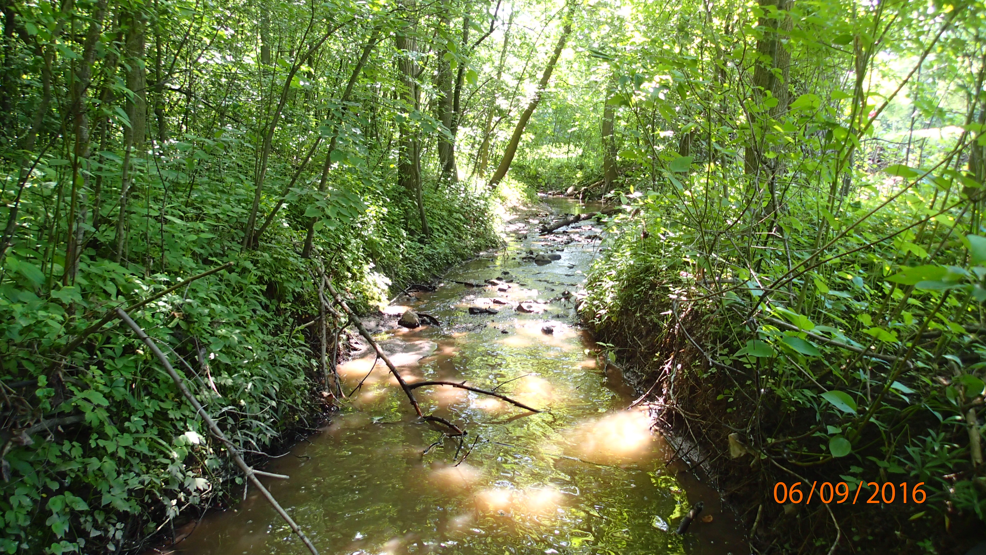 Unnamed Trib to Fox River, Plum and Kankapot Creeks Watershed (LF03)