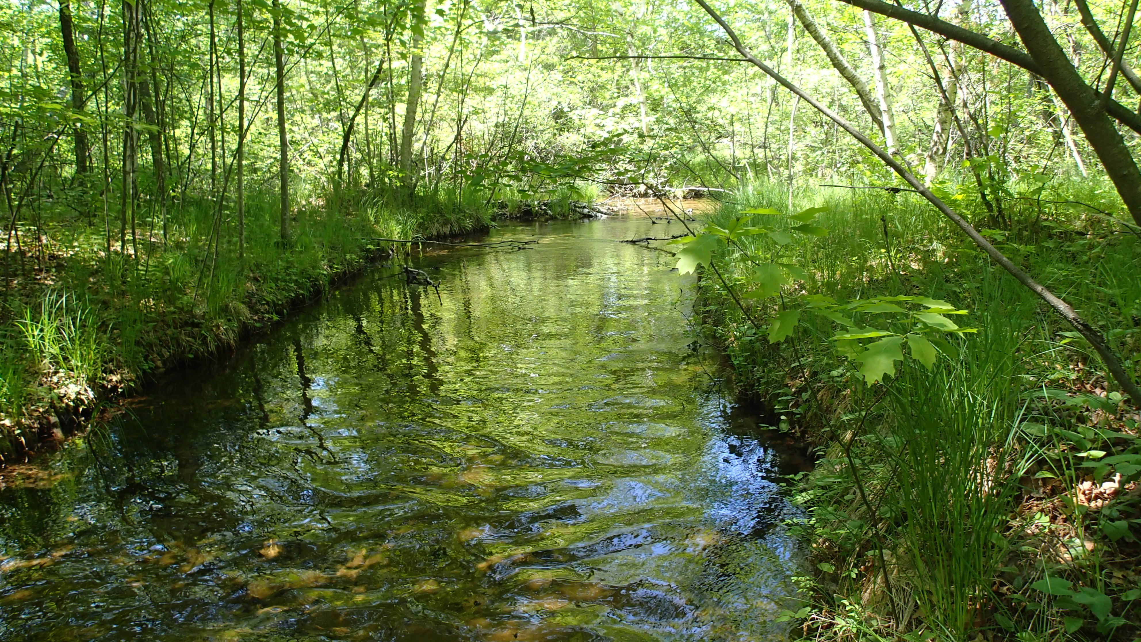 Left Foot Creek, Lower Peshtigo River Watershed (GB07)