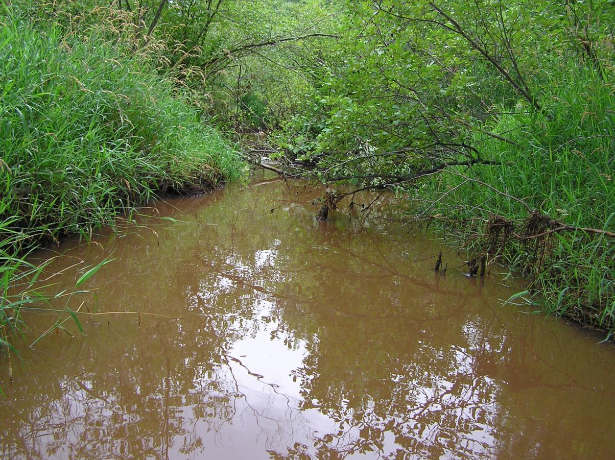 Hay Creek, Wood River Watershed (SC11)