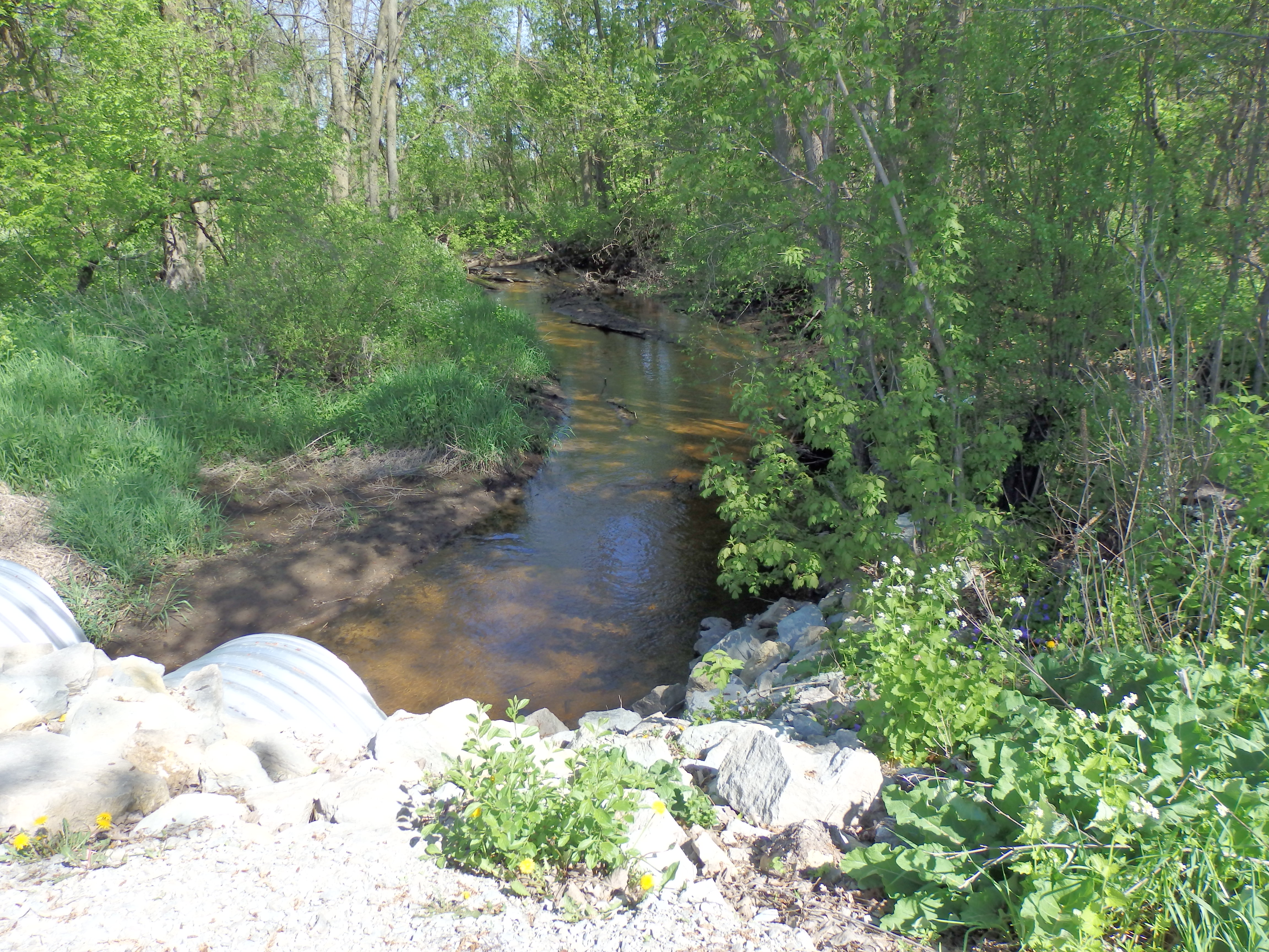 Johnson Creek, Johnson Creek Watershed (UR07)