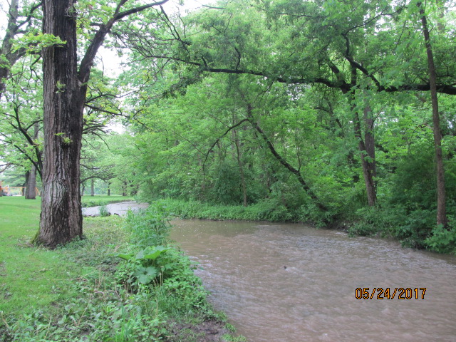 Spring Brook T01n R13e S31, Turtle Creek Watershed (LR01)