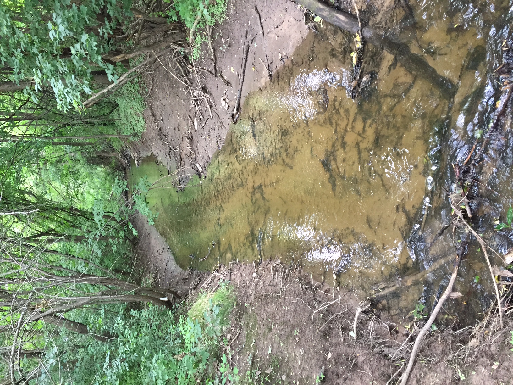 Unnamed Stream , Fox River - Appleton Watershed (LF04)