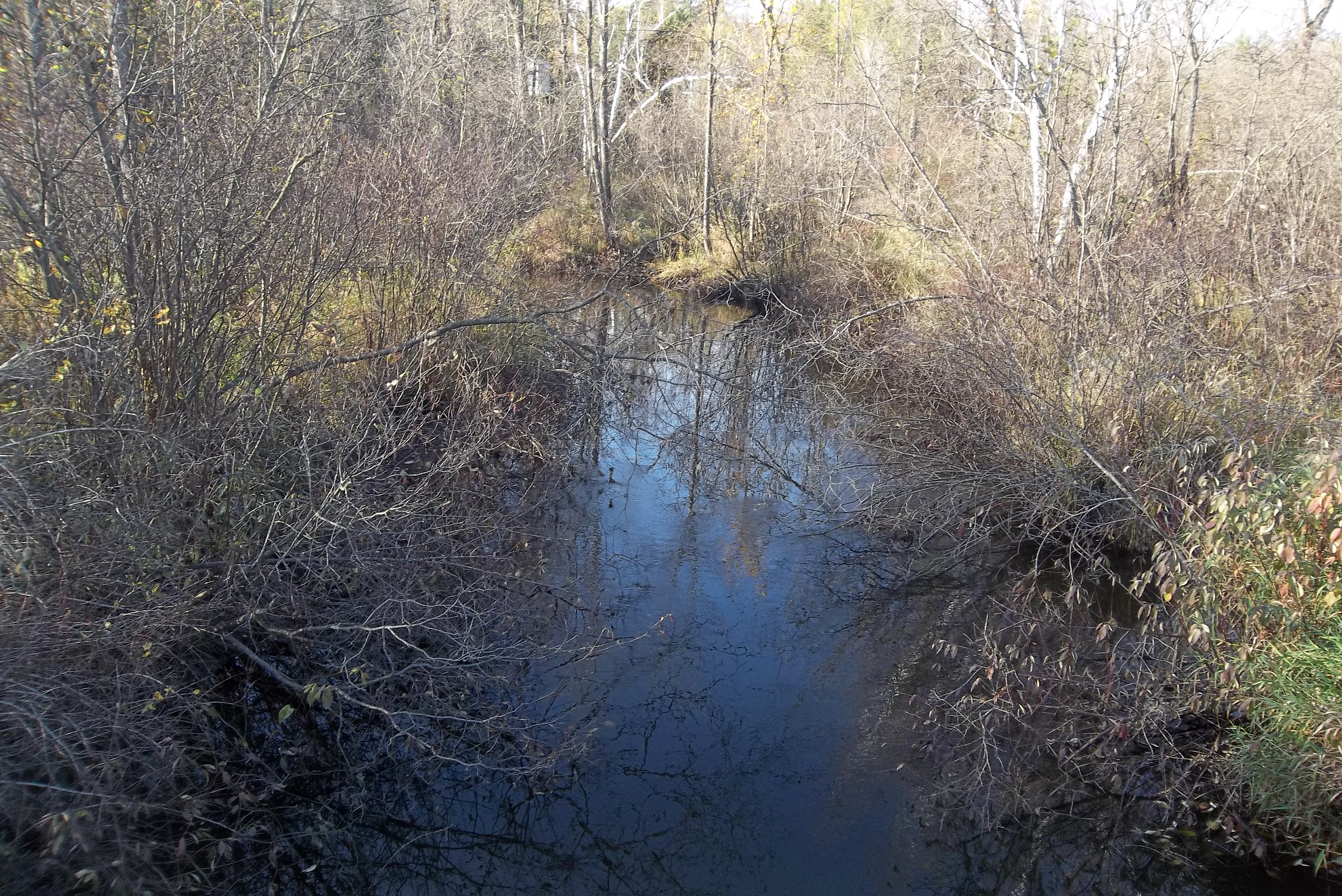 South Branch Beaver Creek, Little Peshtigo River Watershed (GB08)