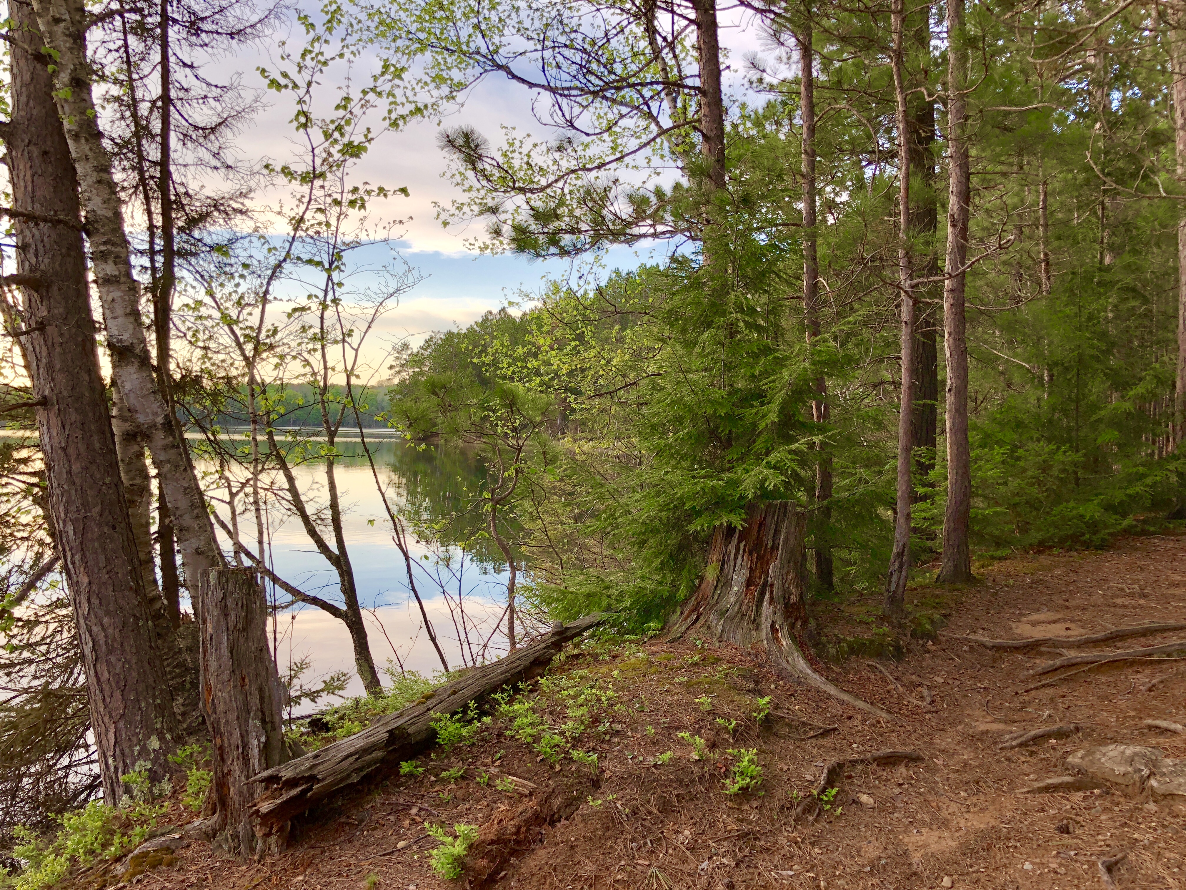 White Deer Lake, Eagle River Watershed (UW44)