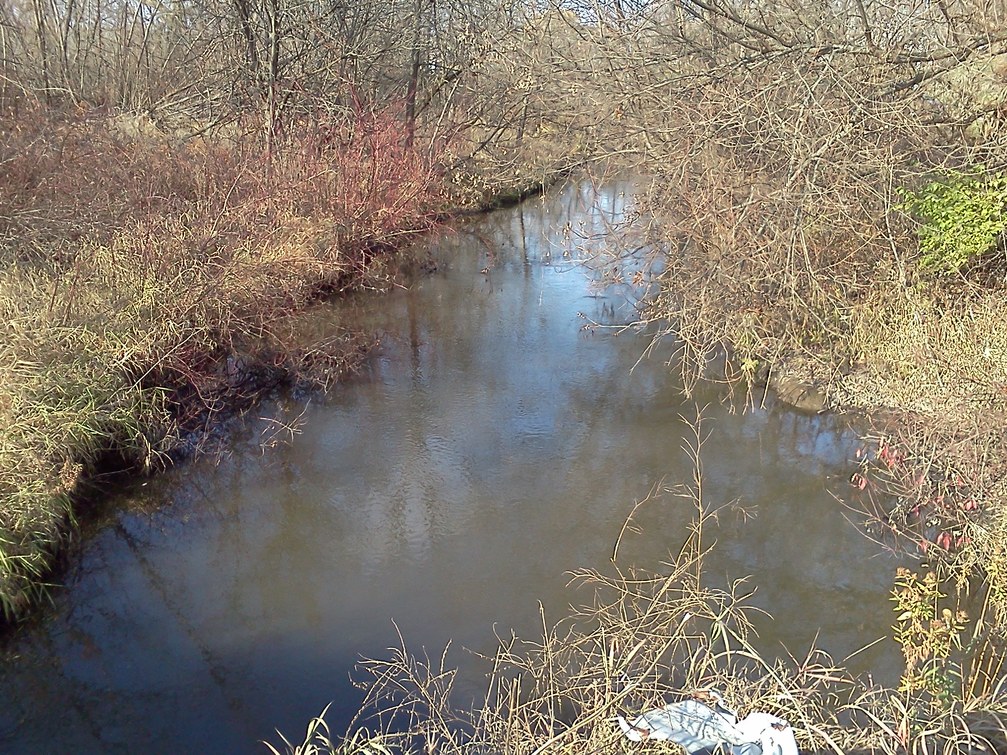 Lodi Creek, Lake Wisconsin Watershed (LW19)