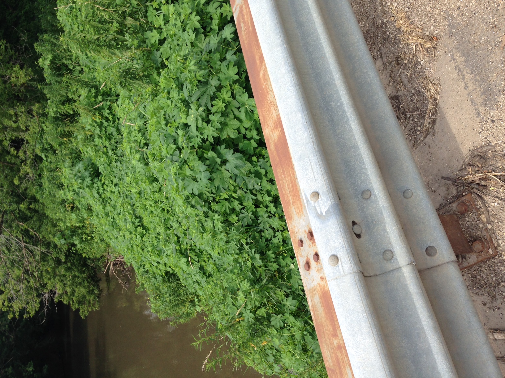 Pecatonica River, Mineral Point and Sudan Branches,Upper West Branch Pecatonica River Watershed (SP09)