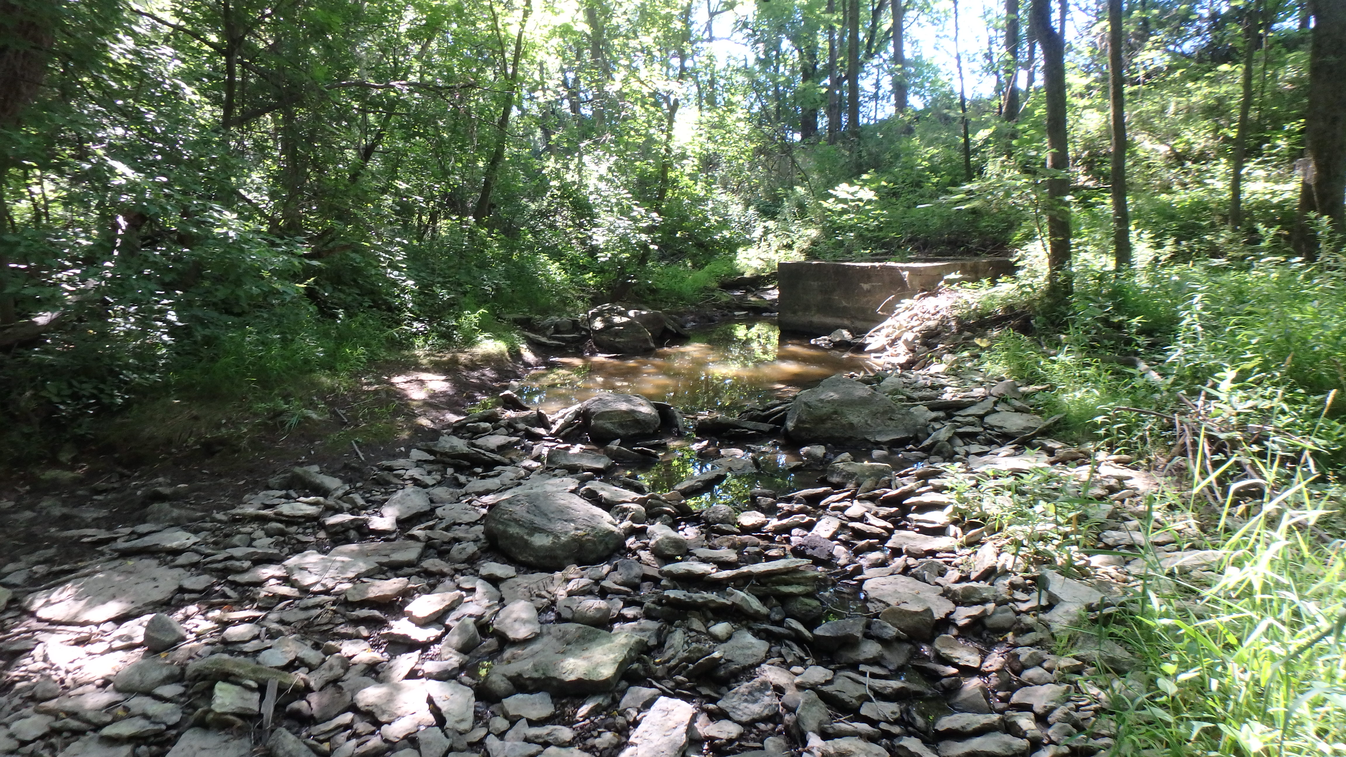 Un Creek, East River Watershed (LF01)