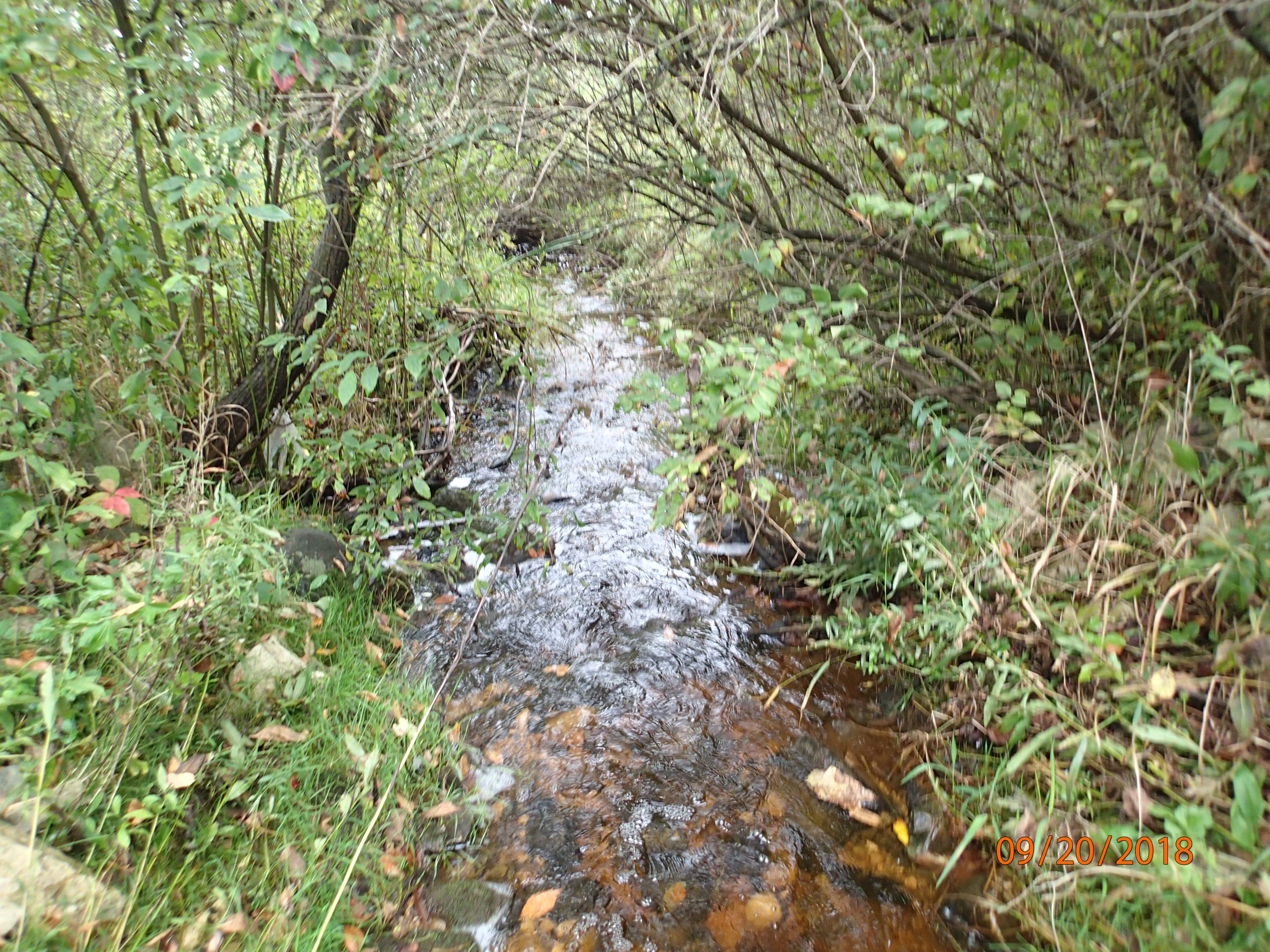 Unnamed Creek, Ahnapee River Watershed (TK04)